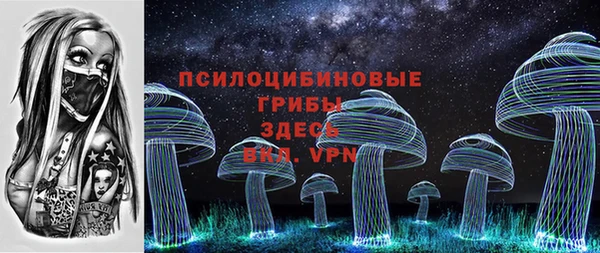 PSILOCYBIN Абдулино