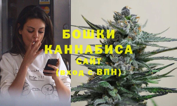 PSILOCYBIN Абдулино